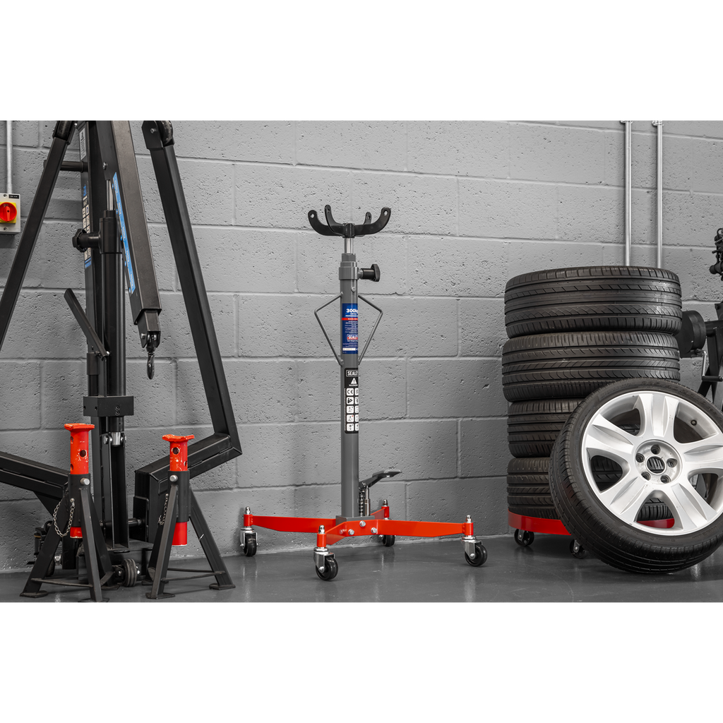Vertical Transmission Jack 300kg 300TR