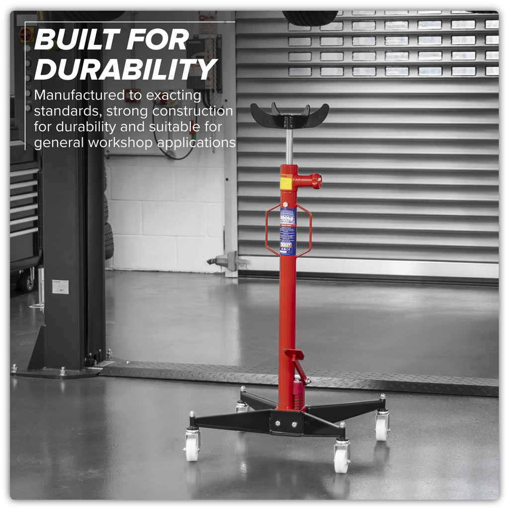 Vertical Transmission Jack 300kg 300TR