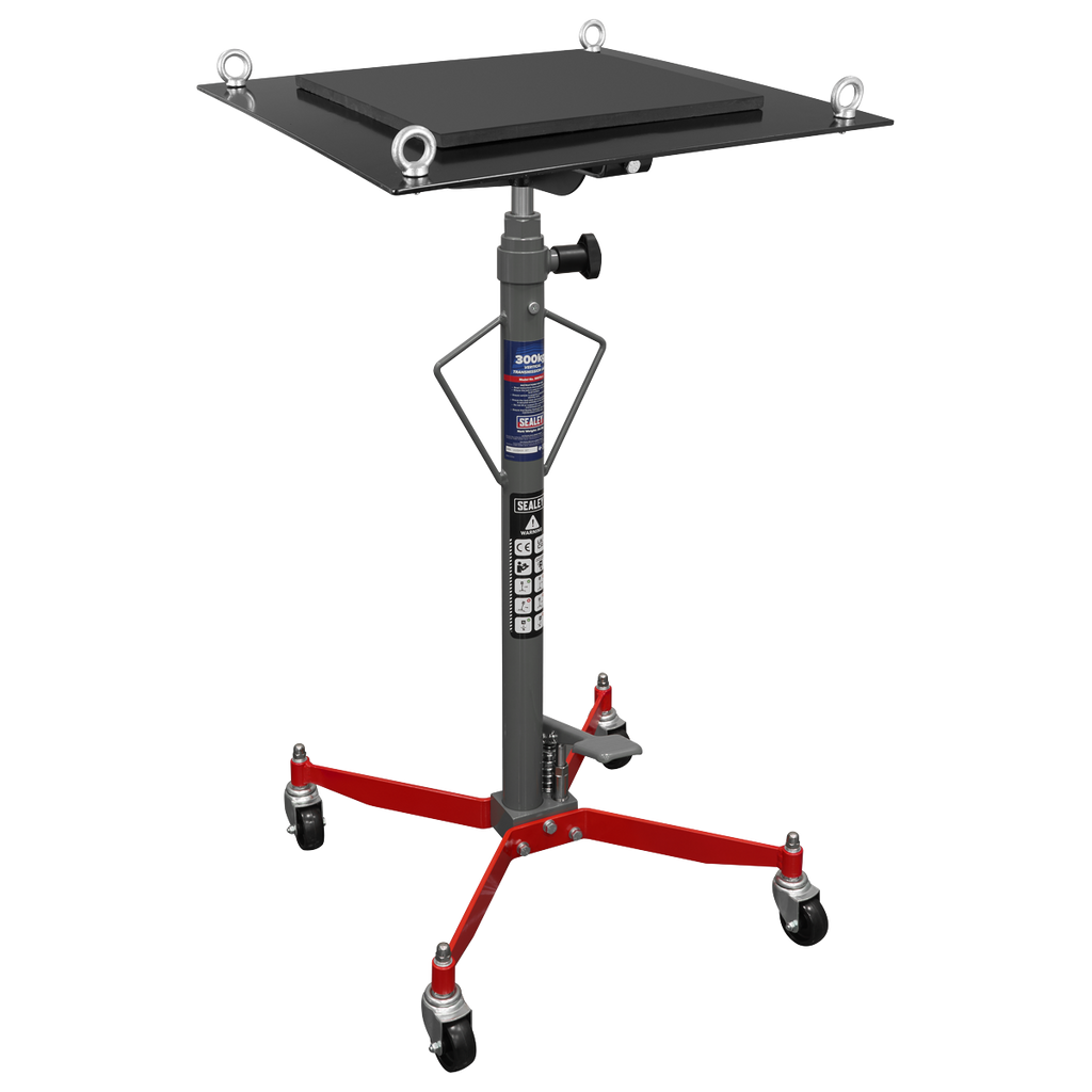 Vertical Transmission Jack 300kg 300TR