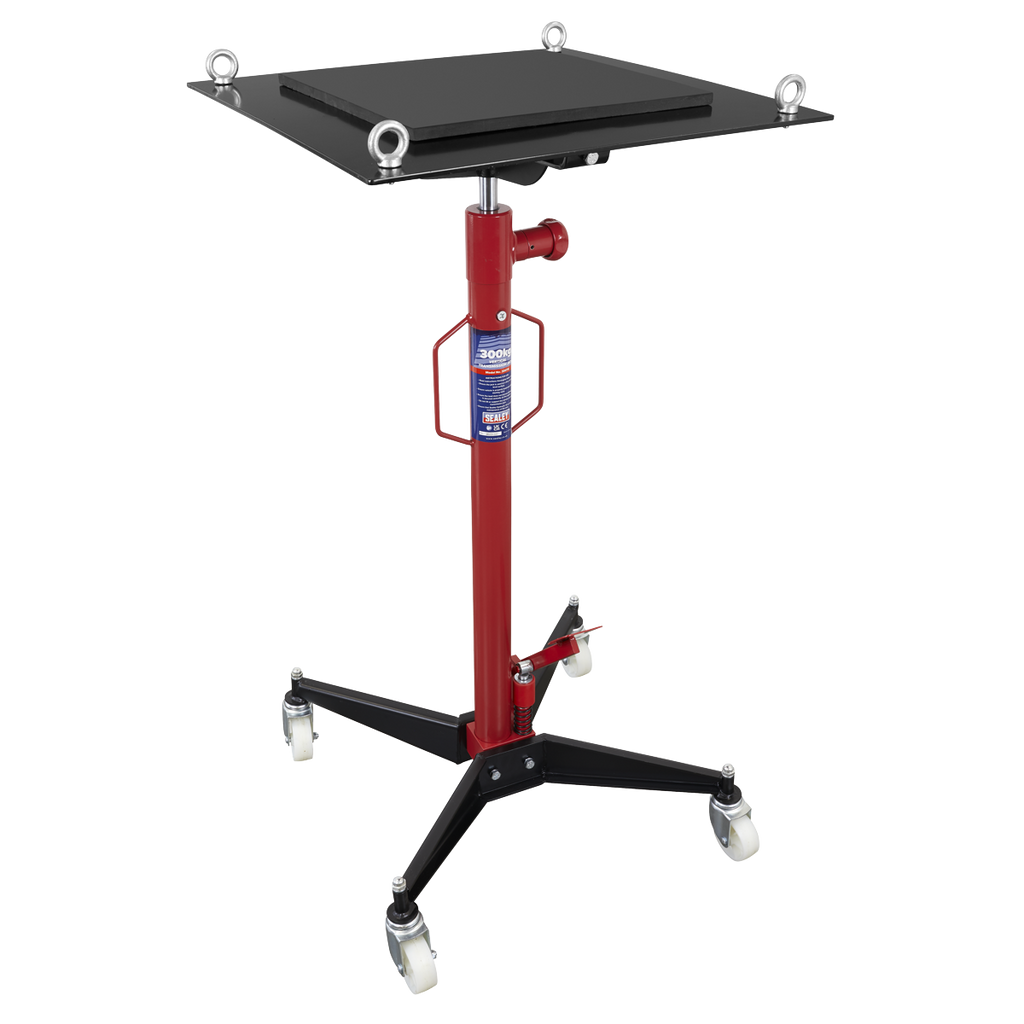 Vertical Transmission Jack 300kg 300TR