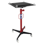 Vertical Transmission Jack 300kg 300TR