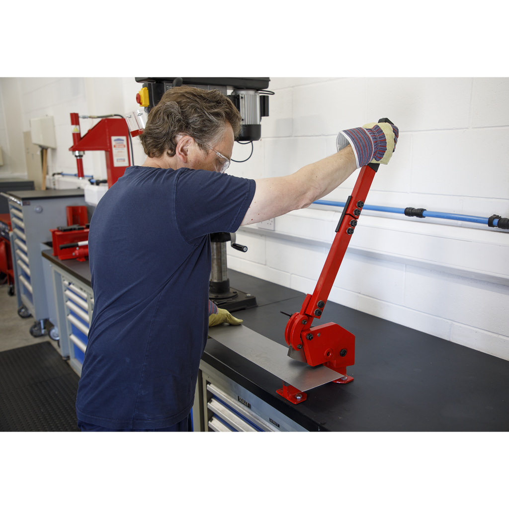 Metal Cutting Shears 10mm 4mm Capacity 3S/4R