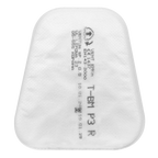 P3R Particulate Filter - Pack of 2 9007