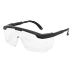 Value Safety Glasses 9204
