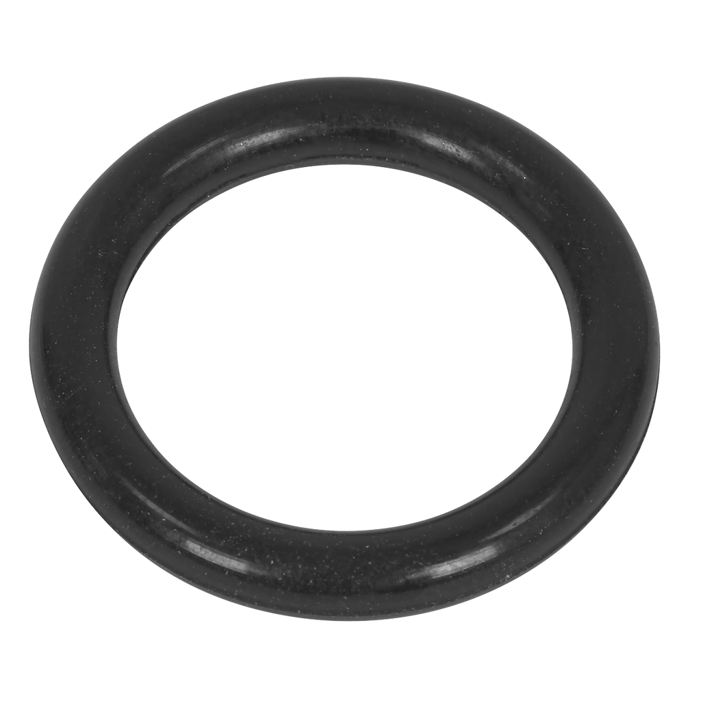Rubber O-Ring Assortment 225pc AB004OR