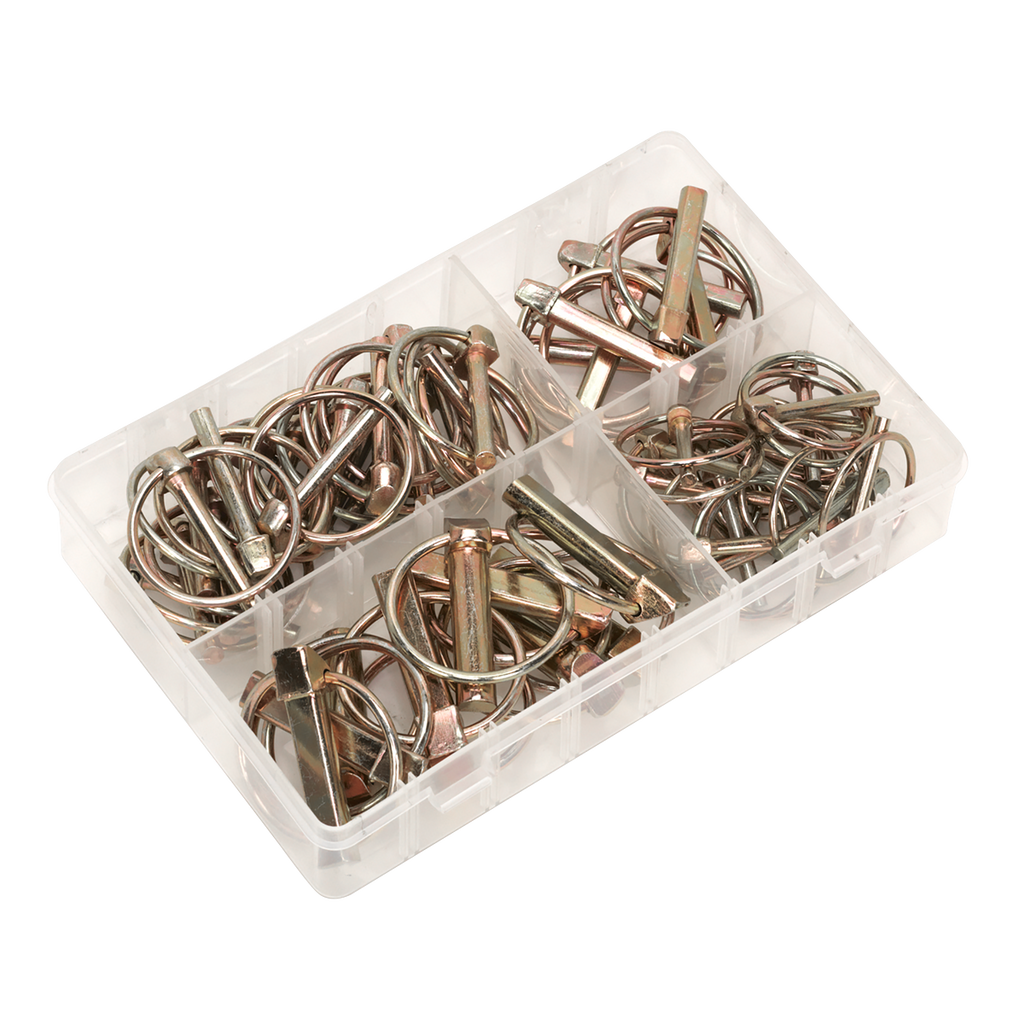 Linch Pin Assortment 50pc AB022LP