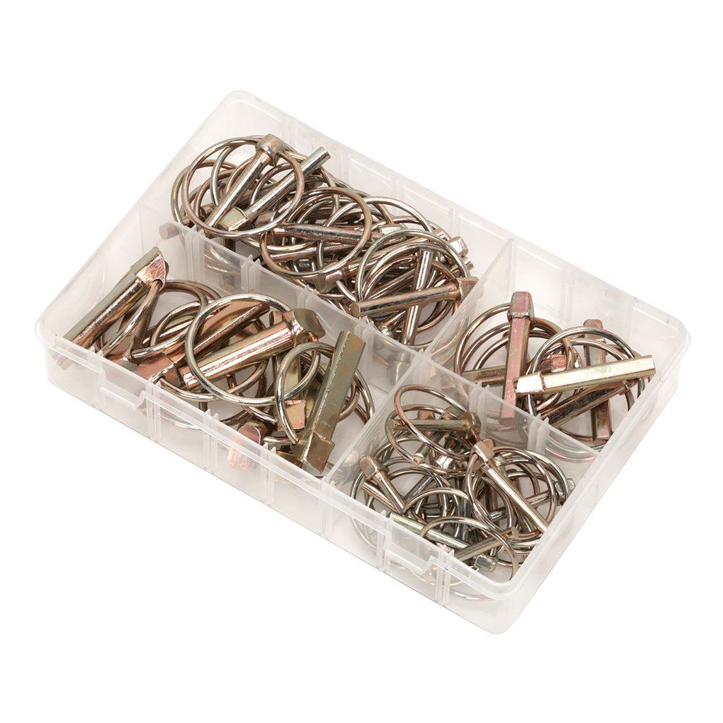 Linch Pin Assortment 50pc AB022LP