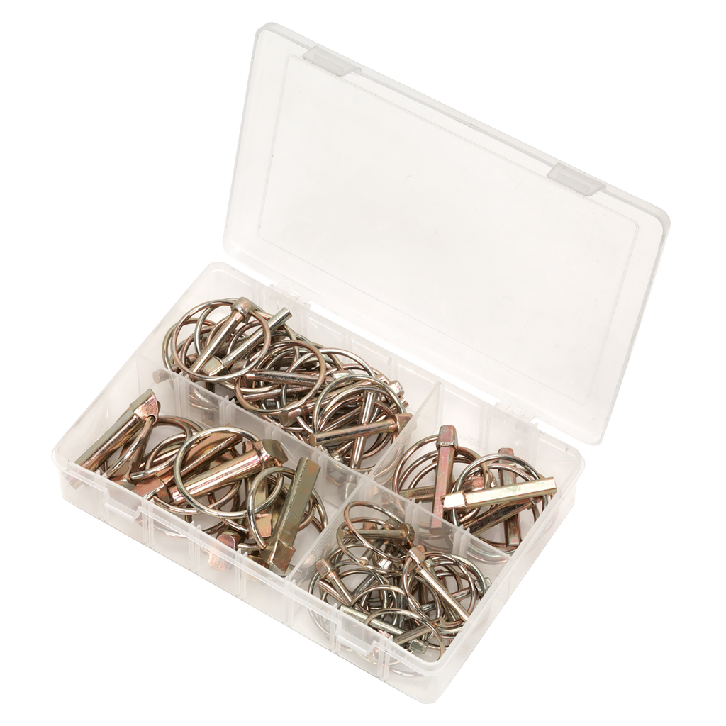 Linch Pin Assortment 50pc AB022LP