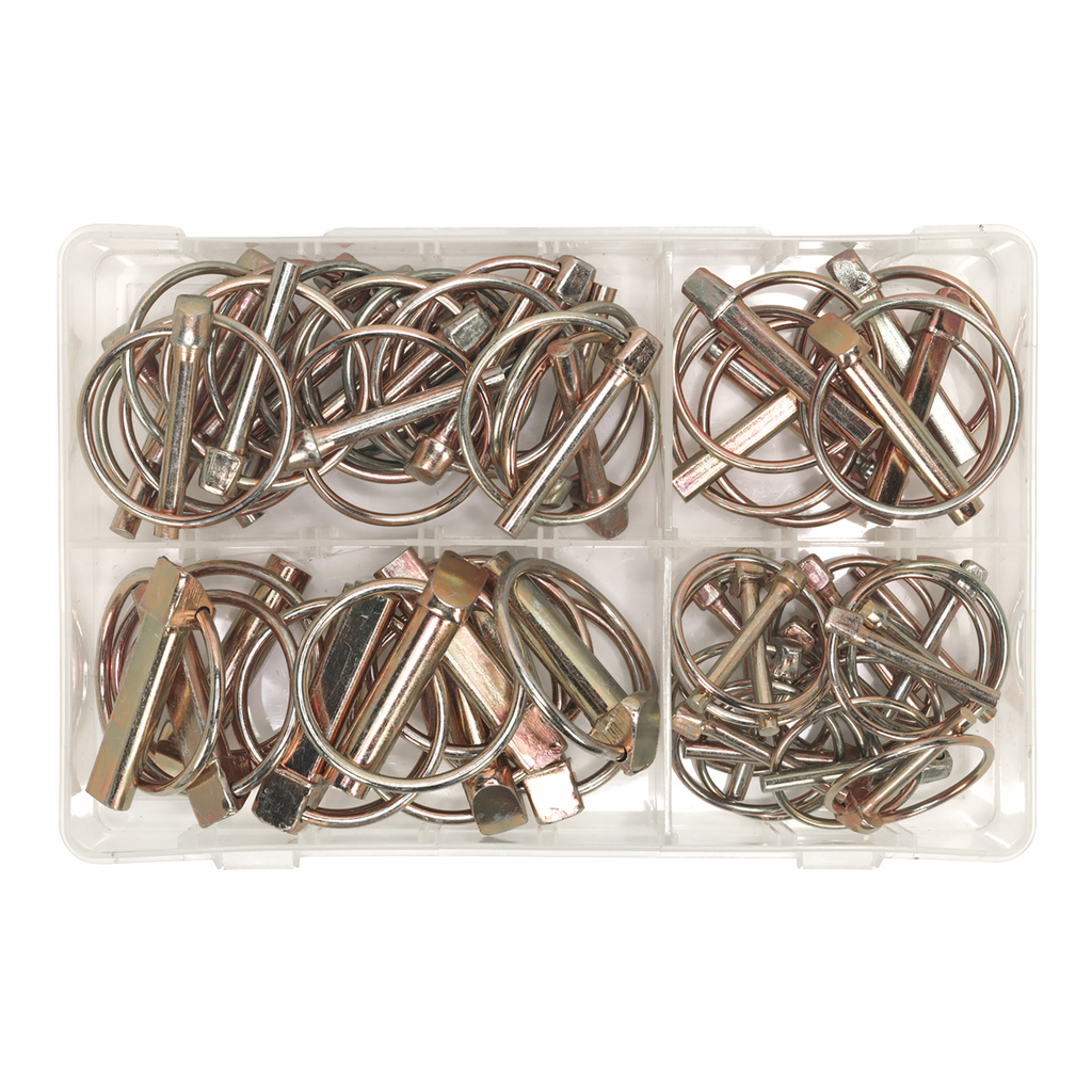 Linch Pin Assortment 50pc AB022LP