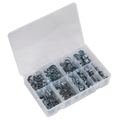 Mini Hose Clip Assortment 100pc AB042MH