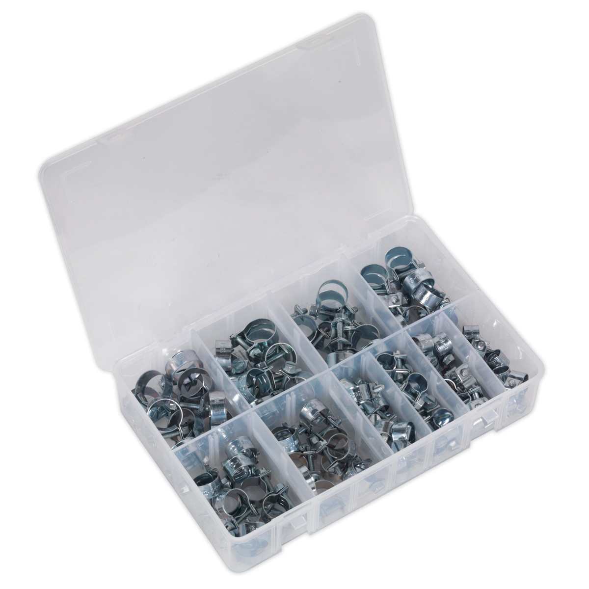 Mini Hose Clip Assortment 100pc AB042MH