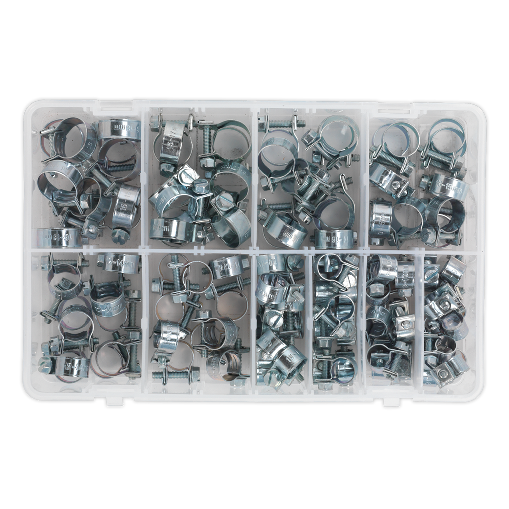Mini Hose Clip Assortment 100pc AB042MH