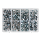 Mini Hose Clip Assortment 100pc AB042MH