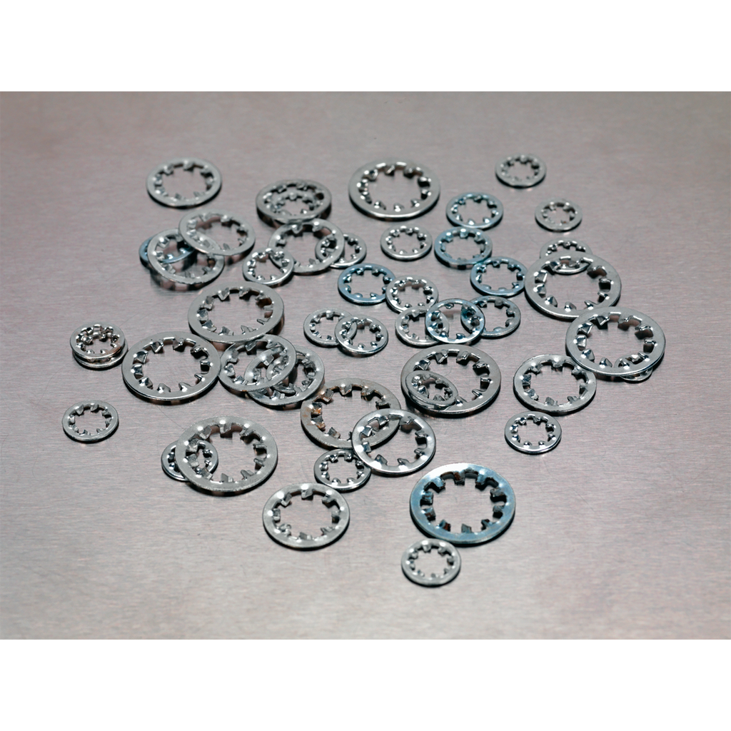 Internal Serrated Lock Washer Assortment M5-M10 1000pc AB057LW