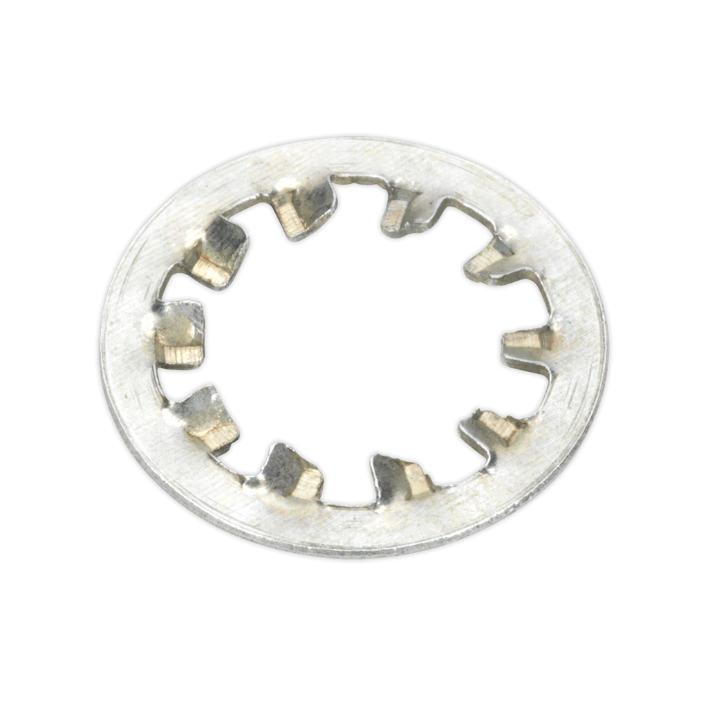 Internal Serrated Lock Washer Assortment M5-M10 1000pc AB057LW