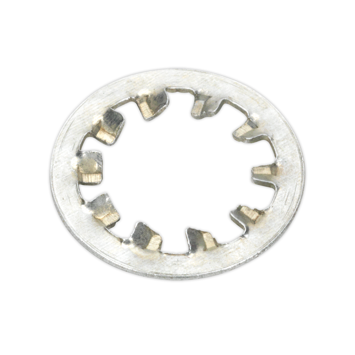 Internal Serrated Lock Washer Assortment M5-M10 1000pc AB057LW