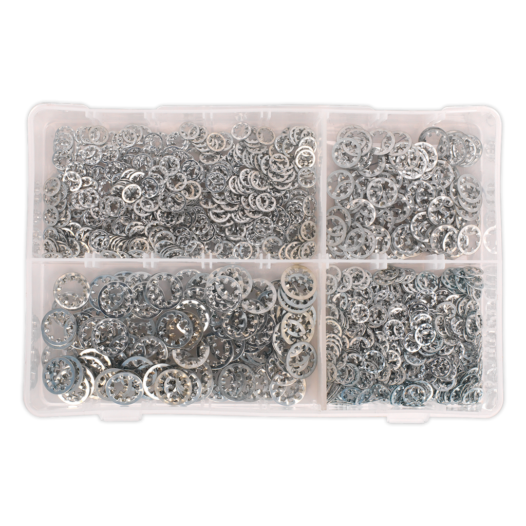 Internal Serrated Lock Washer Assortment M5-M10 1000pc AB057LW