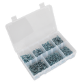 Zinc Plated Self-Drilling Pan Head Phillips Screw Assortment 500pc AB060SDS