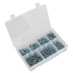 Zinc Plated Self-Drilling Pan Head Phillips Screw Assortment 500pc AB060SDS