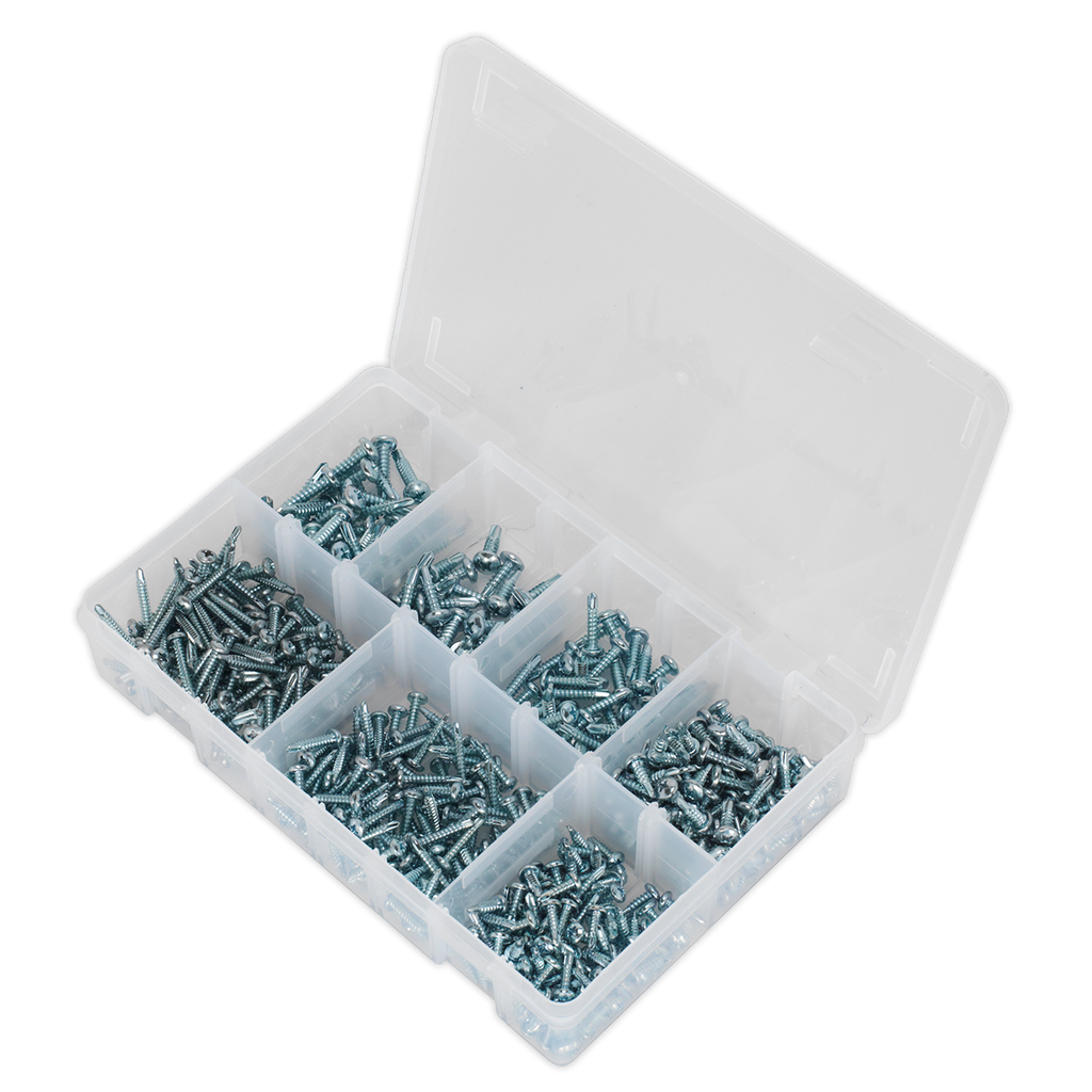 Zinc Plated Self-Drilling Pan Head Phillips Screw Assortment 500pc AB060SDS