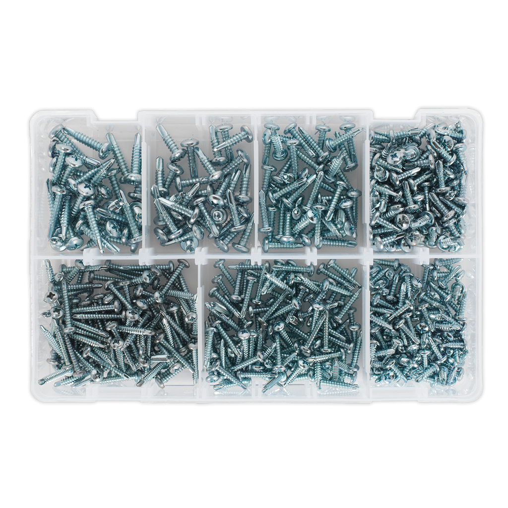 Zinc Plated Self-Drilling Pan Head Phillips Screw Assortment 500pc AB060SDS