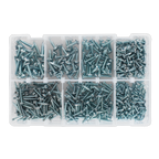 Zinc Plated Self-Drilling Pan Head Phillips Screw Assortment 500pc AB060SDS