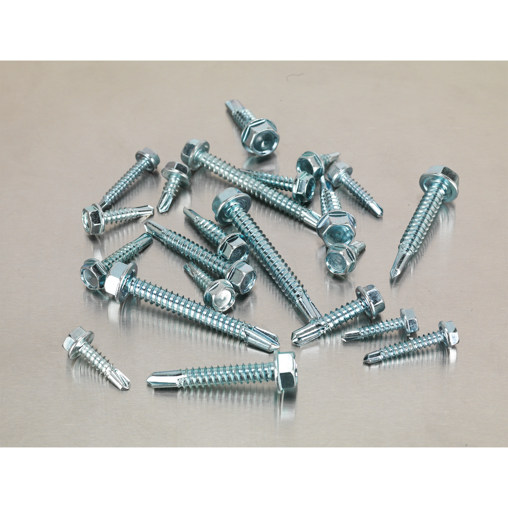Zinc Plated Self-Drilling Hex Head Screw Assortment 410pc AB061SDH