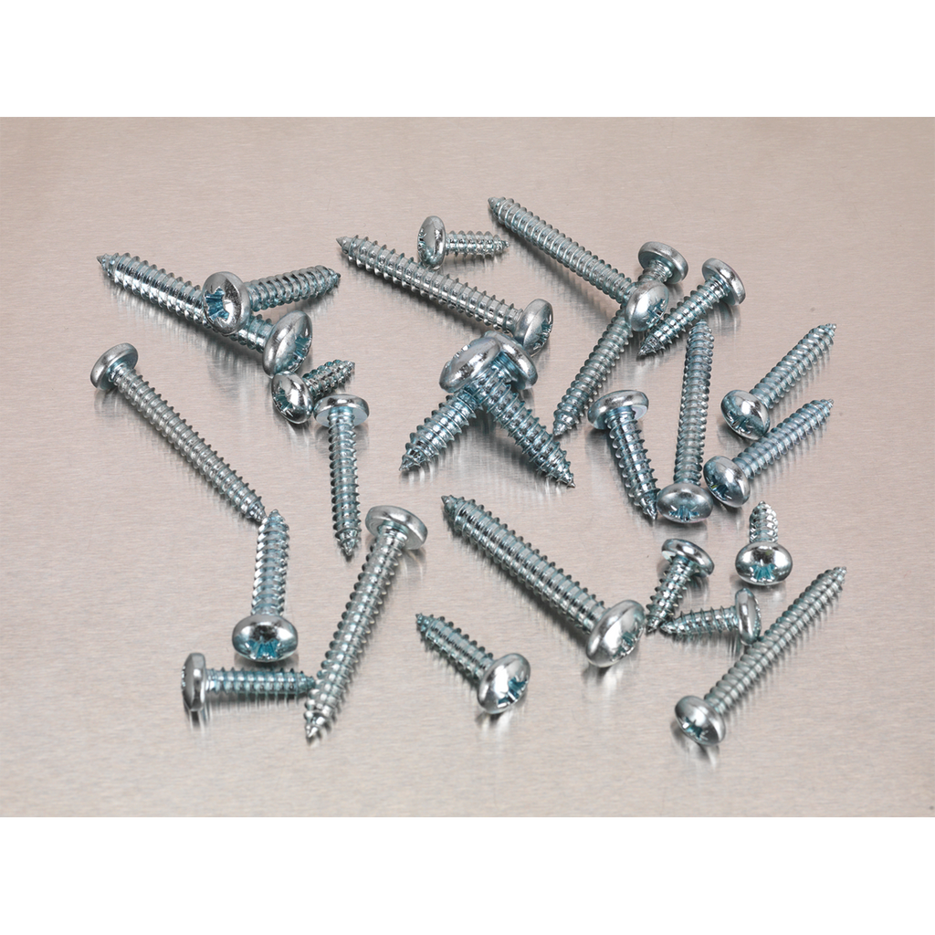 Zinc Plated Self-Tapping Pan Head Pozi Screw Assortment 305pc - DIN 798CZ AB064STPP