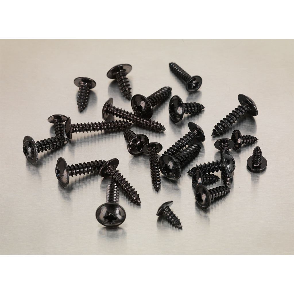 Self-Tapping Flanged Head Screw Assortment 700pc AB066STBK