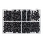 Self-Tapping Flanged Head Screw Assortment 700pc AB066STBK