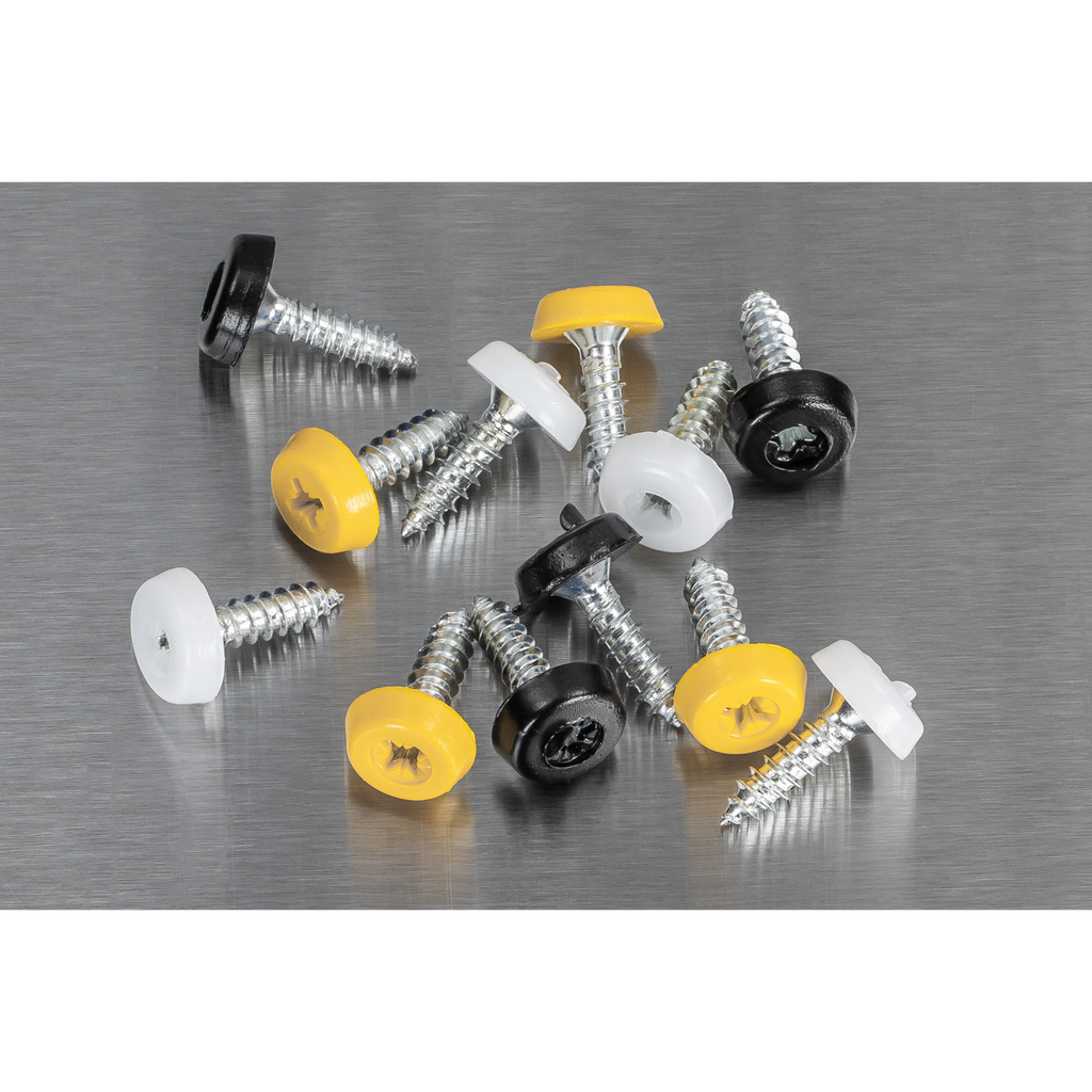 Numberplate Screw Assortment 4.8mm x 18mm 195pc - Plastic Enclosed Head AB195NP