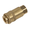PCL Non-Corrodible Coupling Body Female 1/4"BSPT AC90