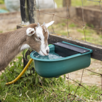 Automatic Cattle Drinking Bowl 4L AFT01