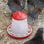 Poultry Feeder 1.5kg - Pack of 5 AFT025