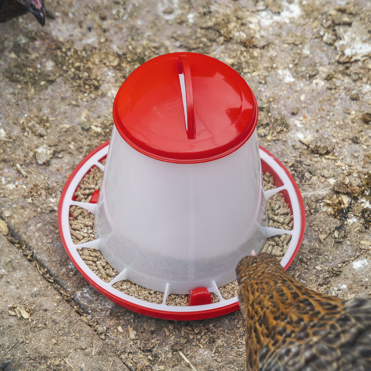 Poultry Feeder 1.5kg AFT02