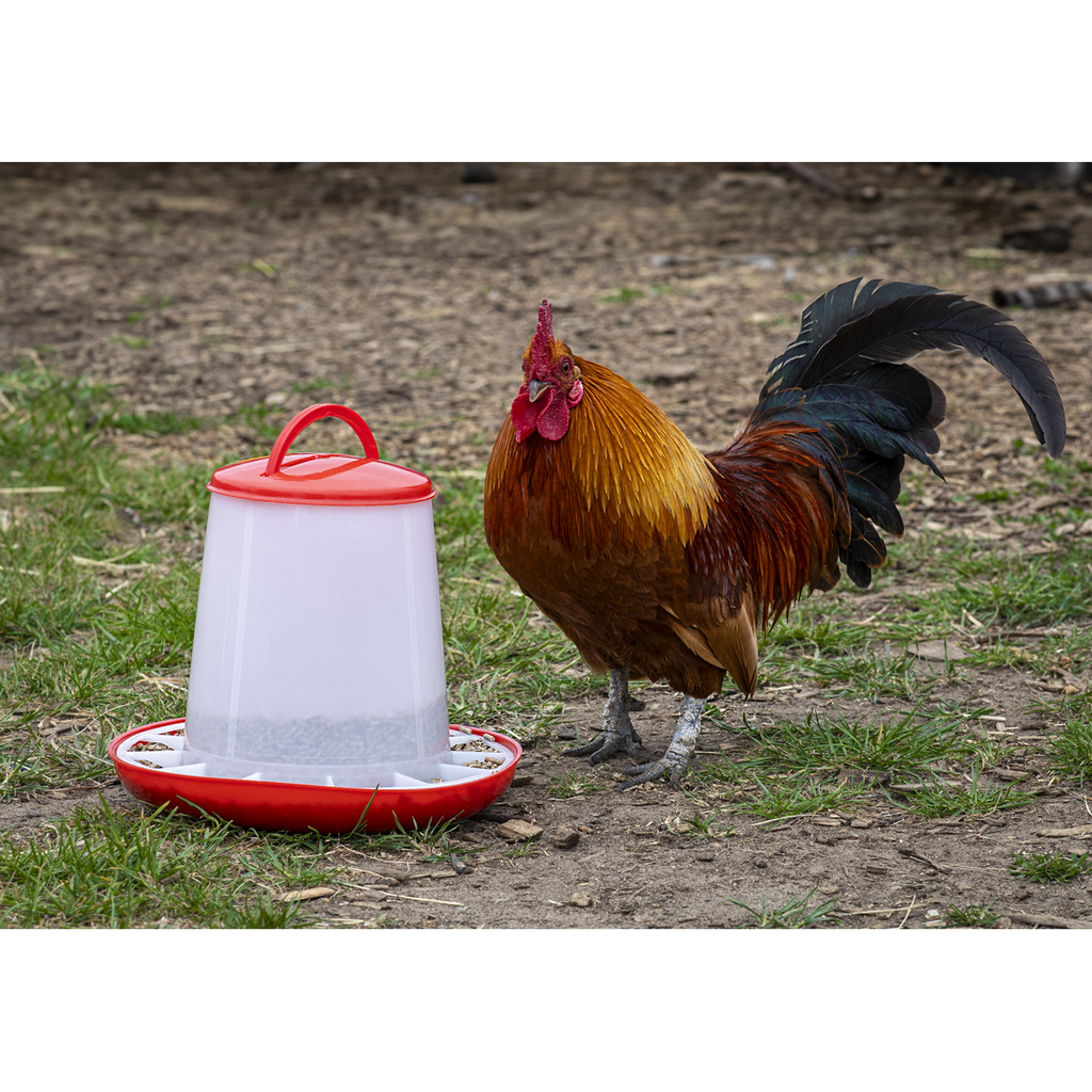Poultry Feeder 3kg - Pack of 3 AFT033
