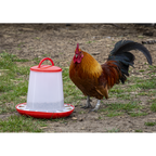 Poultry Feeder 3kg - Pack of 3 AFT033