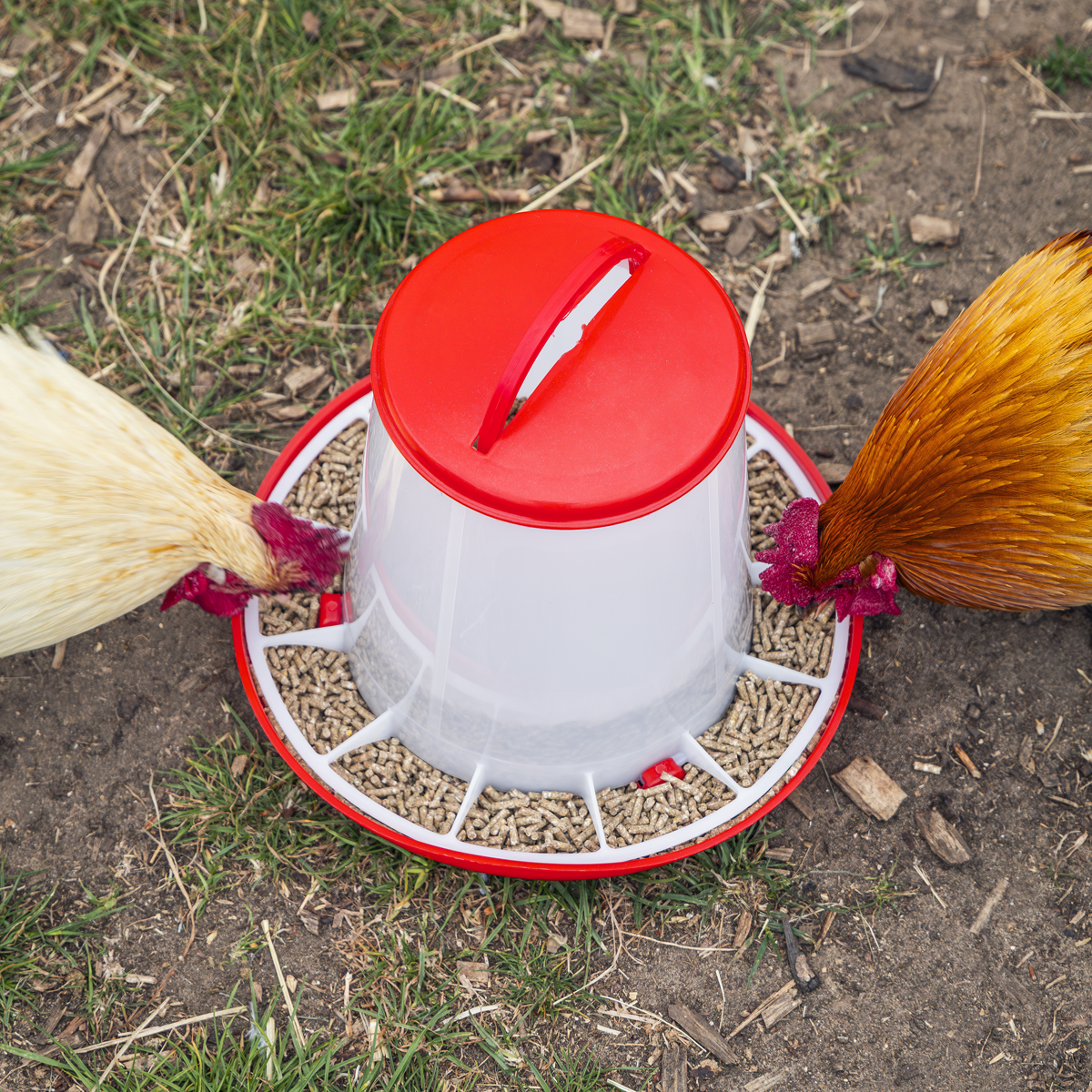 Poultry Feeder 3kg AFT03