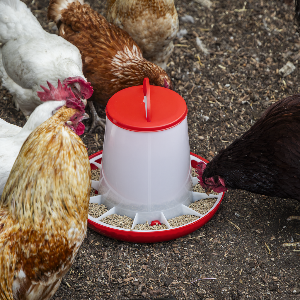 Poultry Feeder 6kg AFT04
