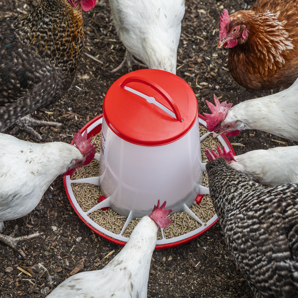 Poultry Feeder 6kg AFT04