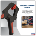 Spring Clamp Set 60mm 4pc AK044