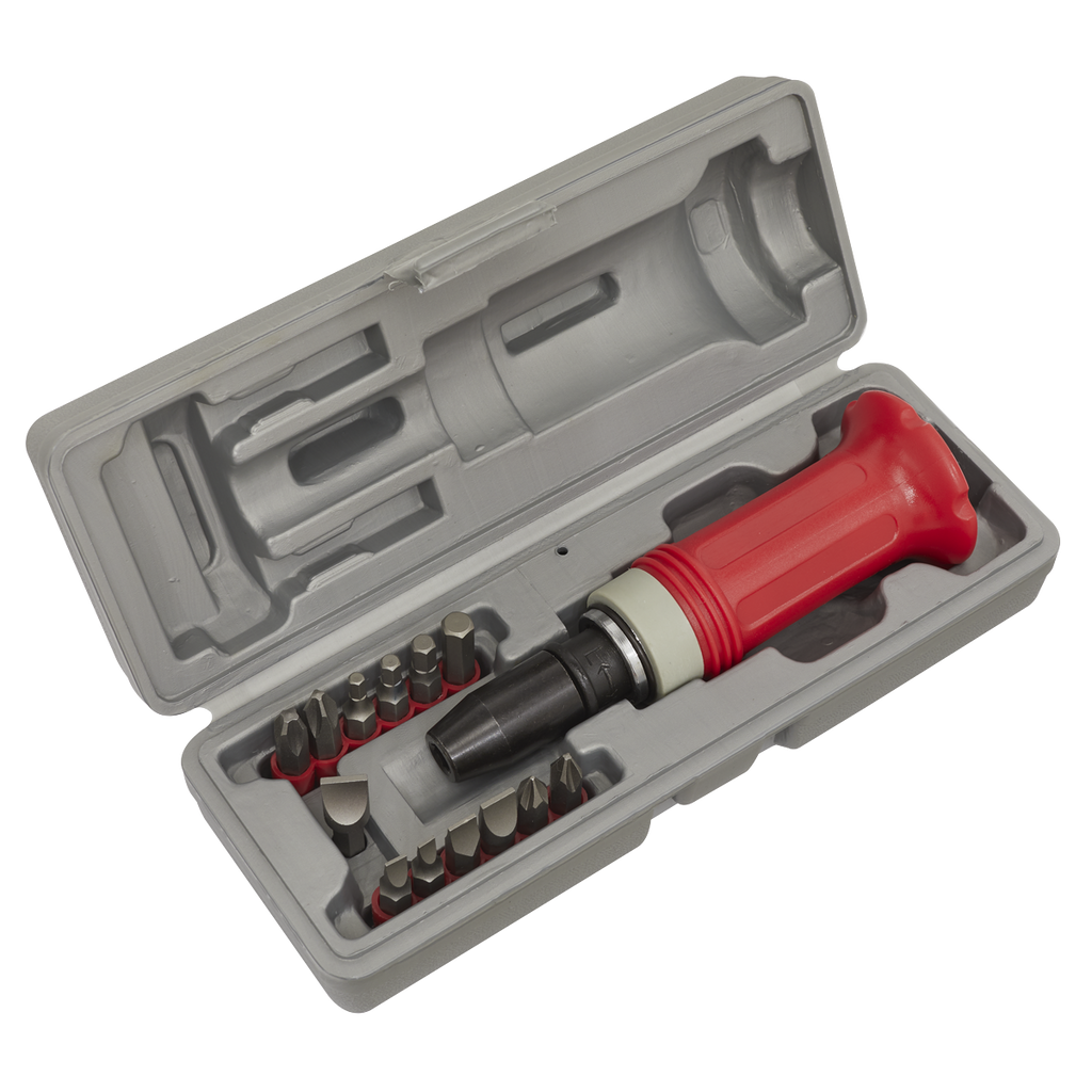 Impact Driver Set with Protection Grip 15pc AK2081