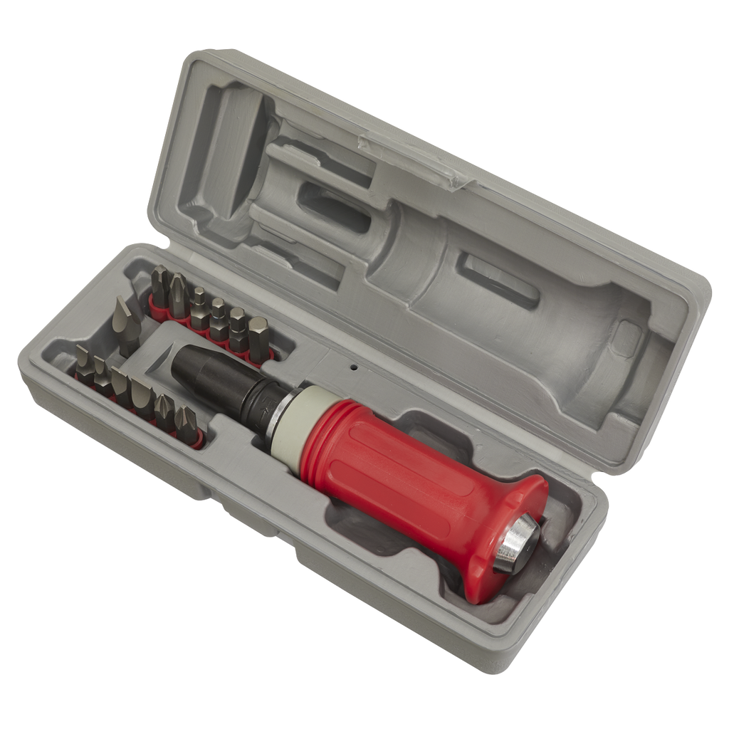 Impact Driver Set with Protection Grip 15pc AK2081
