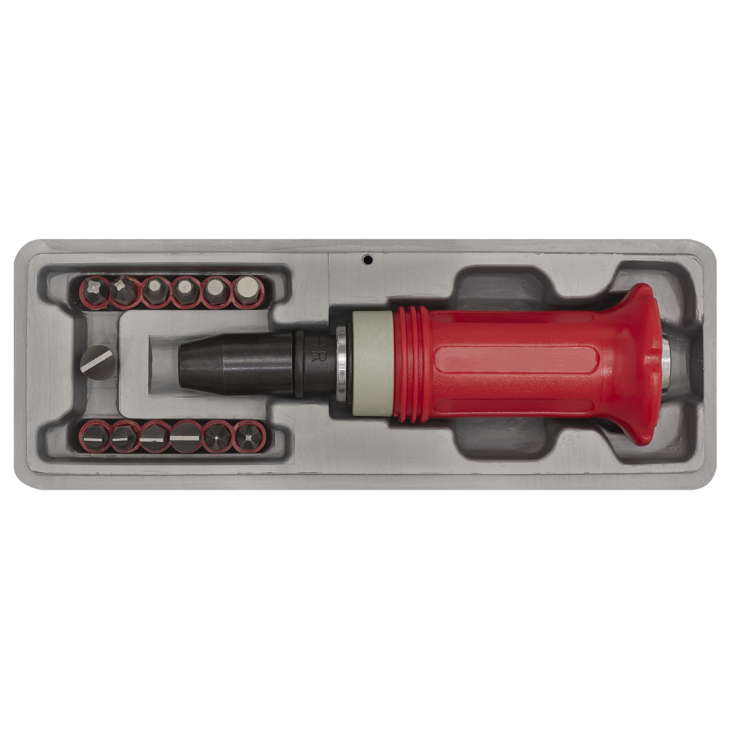 Impact Driver Set with Protection Grip 15pc AK2081