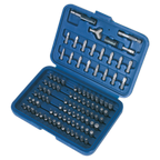 Power Tool/Security Bit Set 100pc AK2100