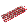 Socket Rail Tray 1/4", 3/8" & 1/2"Sq Drive - Red AK271