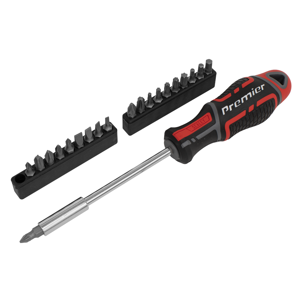 GripMAX® Screwdriver & Bit Set 21pc AK4329