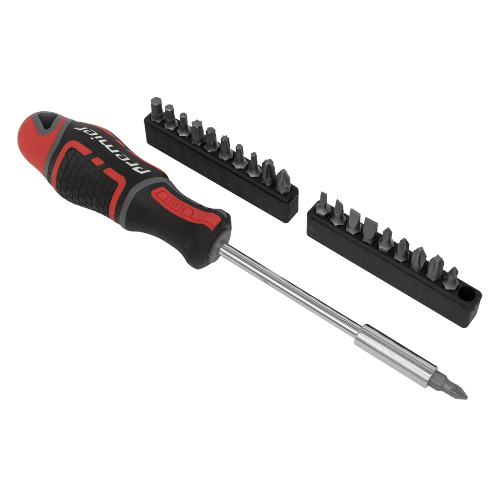GripMAX® Screwdriver & Bit Set 21pc AK4329