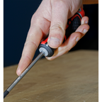 GripMAX® Phillips Screwdriver #2 x 100mm AK4361