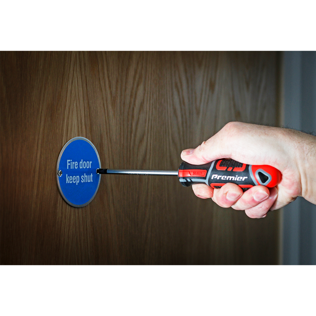 GripMAX® Phillips Screwdriver #2 x 100mm AK4361